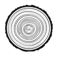 Holz Nann in Bad Dürrheim - Logo