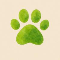 Mietzekater (Simon & Vincent UG) in Aachen - Logo
