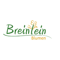 Blumen Breinlein in Reichertshofen in Oberbayern - Logo