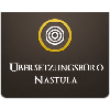 Übersetzungsbüro Nastula in Dortmund - Logo