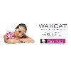 Waxcat - Waxing & Sugaring Studio in Hamburg - Logo