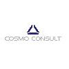 Cosmo Consult GmbH in Berlin - Logo