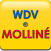 WDV-Molliné GmbH - Wasserzähler - Wärmezähler - Heizkostenabrechnung in Memmingen - Logo