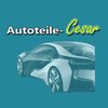 Autoteile Cesar KFZ- und Teilehandel in Bredelar Gemeinde Marsberg - Logo