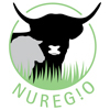 NUREGIO in Steinfurt - Logo