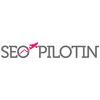 SEO Pilotin in Jettingen Scheppach - Logo