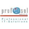 profitsol GmbH & Co. KG in Dresden - Logo