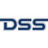 DSS Data System Service GmbH in Unglinghausen Gemeinde Netphen - Logo