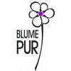 BLUME PUR in Eutin - Logo