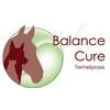 Balance Cure Tierheilpraxis in Jülich - Logo