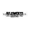 Blowout-Skate und Snowboardshop Sportgeschäft in Würzburg - Logo