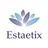 Estatetix in Ebstorf - Logo