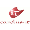 Carolus-IT EDV-Dienstleistungen, Friedrich Meyer in Aachen - Logo