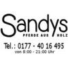 Sandys Holzpferde in Todendorf Kreis Stormarn - Logo