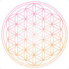 i am - Projekt Leben - Ernährungsberatung *Reiki* in Aschaffenburg - Logo