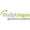 StudyLingua GmbH in Bischbrunn - Logo